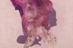 Reseda Coyote Spirit (ink and gesso on canvas)