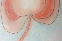 Peace Flower (pastel on paper)