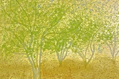 Descanso Gardens in the Autumn (watercolor on paper)