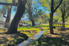 Lone Pine (altered digital photo)