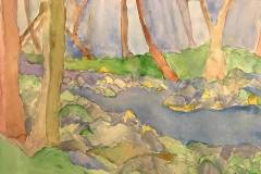 Tenakill Brook (Imaginary View) (watercolor and graphite on paper)