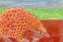 Pangolin Wind (oil pastel on canvas board)